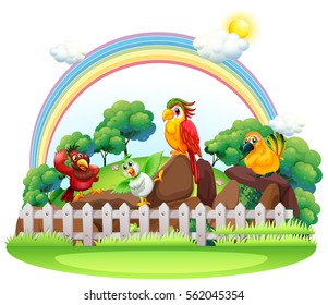 Different colors of macaw birds in the zoo illustration