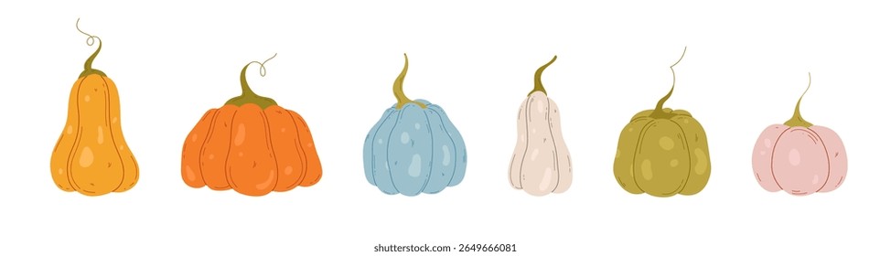 Different colors pumpkins set. Hand drawn pumpkins, vector illustration. Halloween and autumn harvest symbol