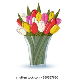 Different colors tulips spring bouquet in the glass vase on the white background.