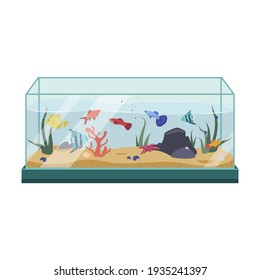 Different colourful fish in the aquarium. Interior decoration and home life. Vector flat illustration