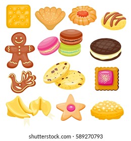 Different cookie cake isolated vector