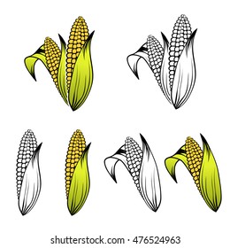 Different Corn Collection Over White Background