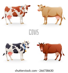 Different cows colors set, isolated. Vector illustration