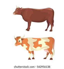 different cows, isolated Vector illustration. Mammal funny animals. Set milk cow