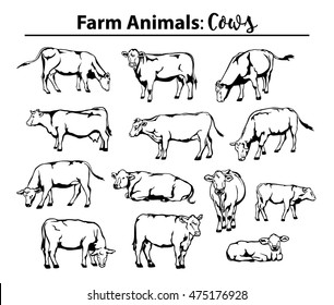 Different cows set in contour, outline. Side view, front view, laying, standing, grazing, walking etc