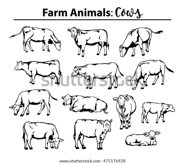 輪郭には牛がセットされ 輪郭は異なる 側面図 正面図 敷設 立ち食い 放牧 歩くなど のベクター画像素材 ロイヤリティフリー
