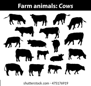 Different cows silhouettes set. Side view, front view, laying, standing, grazing, walking etc