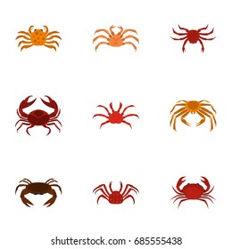 Different crab icons set. Cartoon set of 9 different crab vector icons for web isolated on white background