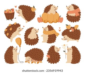 Different cute baby hedgehog autumn cartoon kawaii little wild forest animal character isolated set. Amusing happy adorable fluffy autumnal spiky creature funny pet mascot vector illustration