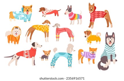 Different cute dogs breeds, adorable puppies wearing funny clothes isolated set on white background. Lovely playful doggy domestic animals cartoon characters demonstrating garment vector illustration