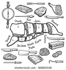 Different cuts of meat and set of knives. Vector.