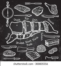 Different cuts of meat and set of knives. Vector.