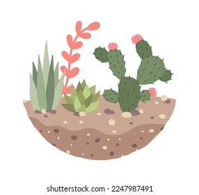 Different decorative plants in soil flat icon Terrarium for houseplant. Vector illustration