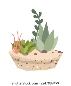 Different decorative plants in soil flat icon Houseplant. Vector illustration