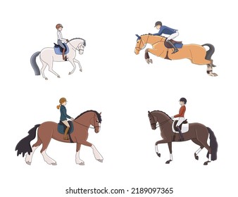 Different directions of equestrian sports, show jumping, dressage, pony riding, hobby
