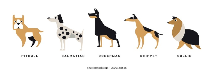 Different Dog Breed Flat Icon and Pictogram with Inscription Vector Set