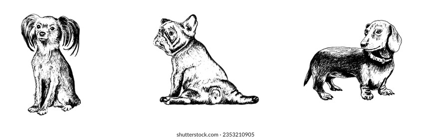 Different Dog Breed Sketch Graphic Vector Illustration Set. Canine Purebred Domestic Pet and Animal