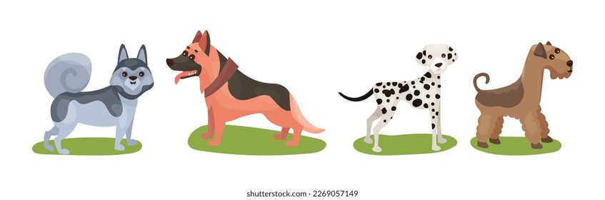 Different Dog Breed Standing on Green Grass Vector Set