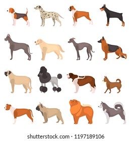 Different Dog Breeds Color Vector Icons Stock Vector (Royalty Free ...