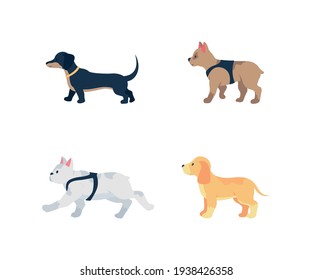 Different dog breeds flat color vector detailed character set. Domestic animals. Puppies in collars. Pet care isolated cartoon illustration for web graphic design and animation collection