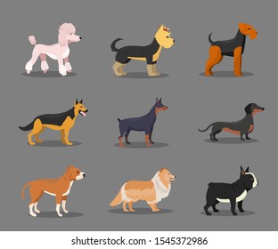 Different Dog Breeds Flat Vector Illustrations Stock Vector (Royalty ...