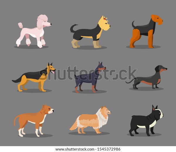 Different Dog Breeds Flat Vector Illustrations Stock Vector (Royalty ...