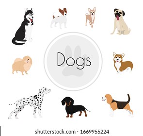 Different dog breeds and mixed set. Vector illustration of funny cartoon different breeds dogs in flat style. 