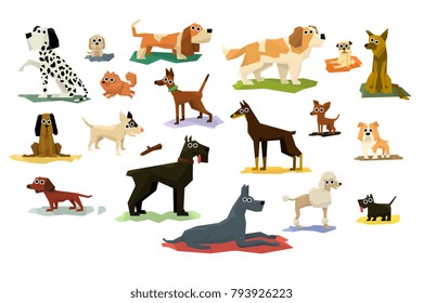 Different Dog Breeds Set