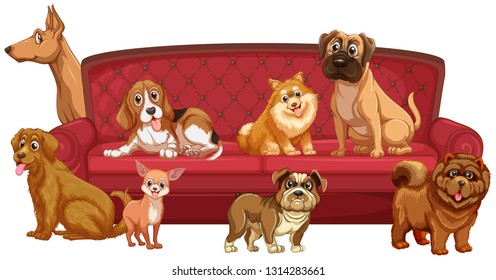 Different dog breeds at sofa illustration