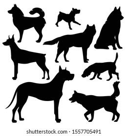 different dog breeds variety - black vector silhouette set of standing, running and sitting pets