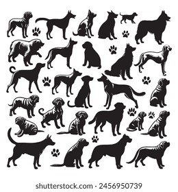 Different Dog breeds vector silhouette collection on white backgraund.