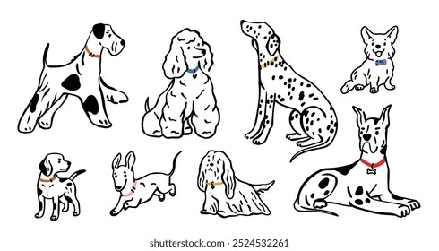 Different dogs breeds Line art  pedigrees set. Corgi, Poodle, Dachshund, Poodle, Dalmatian, Terrier collection. Flat vector