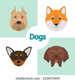 Different dogs breeds muzzles color vector icons set. Flat design