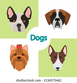 Different dogs breeds muzzles color vector icons set. Flat design