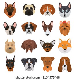 Different dogs breeds muzzles color vector icons set. Flat design