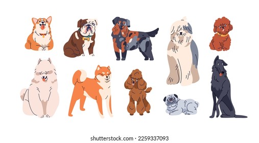 Different dogs breeds set. Cute purebred doggies, puppies. Corgi, Akita Inu, Bobtail, Border Collie, English bulldog pedigrees collection. Flat vector illustrations isolated on white background