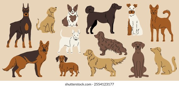 Different dogs collection. Cartoon cute puppy breeds, funny domestic animals in various poses and situations, colorful pet characters. Vector isolated set.