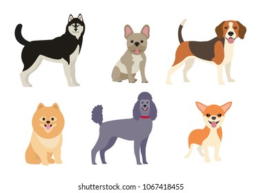 Different dogs collection. Vector illustration