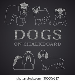Different dogs drawn on chalkboard. Part 1