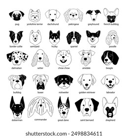 Different dogs heads collection of various breeds in sketch black and white style authors work