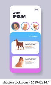 different dogs icons furry human friends pets website or online shop cartoon animals smartphone screen mobile app copy space vertical vector illustration