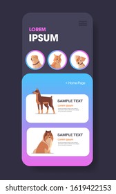 different dogs icons furry human friends pets website or online shop cartoon animals smartphone screen mobile app copy space vertical vector illustration