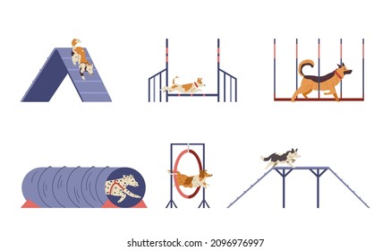 Different dogs on agility field flat vector set. Dogs passing different training obstacles. Isolated. svg