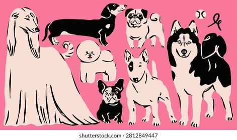 Different Dogs set. Various breeds. Cute funny domestic animals in various poses. Dachshund, bichon frise, afghan hound, French bulldog, bull terrier, husky, pug. Hand drawn Vector illustration