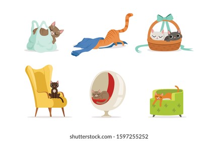 Different Domestic Cats Hiding and Resting in Various Places Vector Set