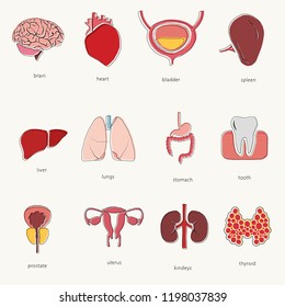 Different Doodle Icons Human Organs Set Stock Vector (Royalty Free ...