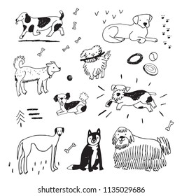 Different doodle vector dogs illustrations set. 