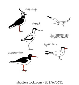 Different drawing sea birds. Vector image black, white and red outline image set.