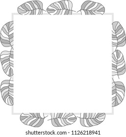 
Different drawn cartoon bird feathers made in different white grey colors of different shapes. Decorative square frame. Vector illustration. 