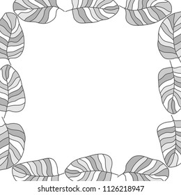 
Different drawn cartoon bird feathers made in different white grey colors of different shapes. Decorative square frame. Vector illustration. 